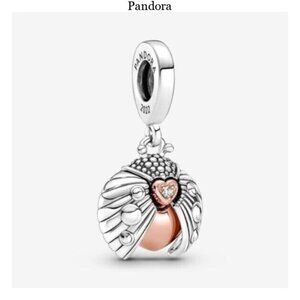 Pandora Club 2022 Ladybird & Heart Dangle Charm
